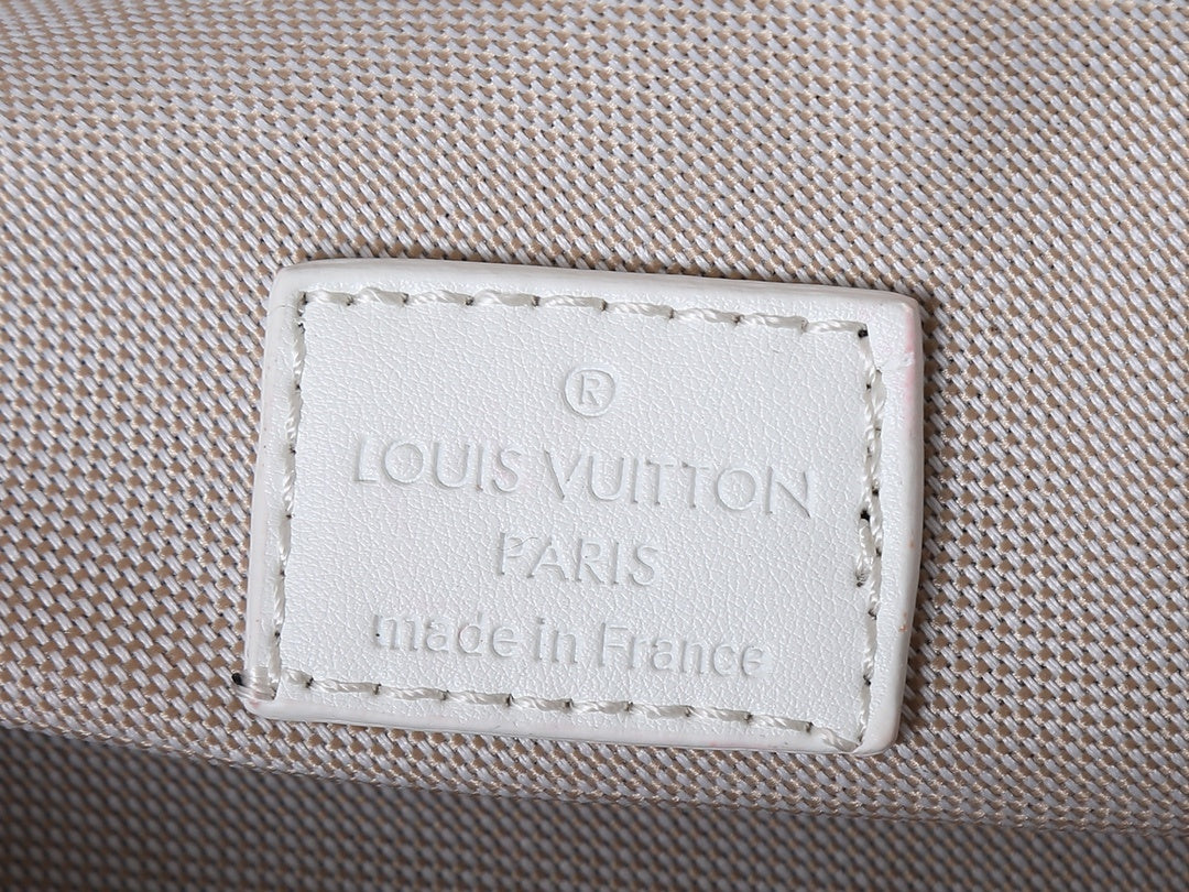 Louis Vuitton Rush Bumbag "Monogram Shadow Leather"