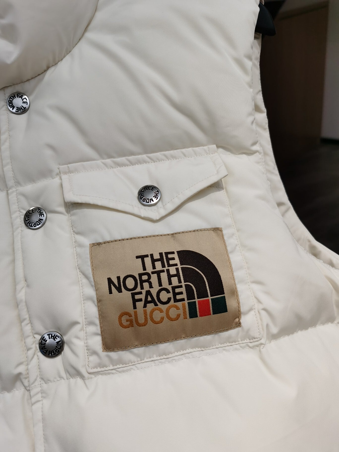 Gucci x The North Face Down Vest