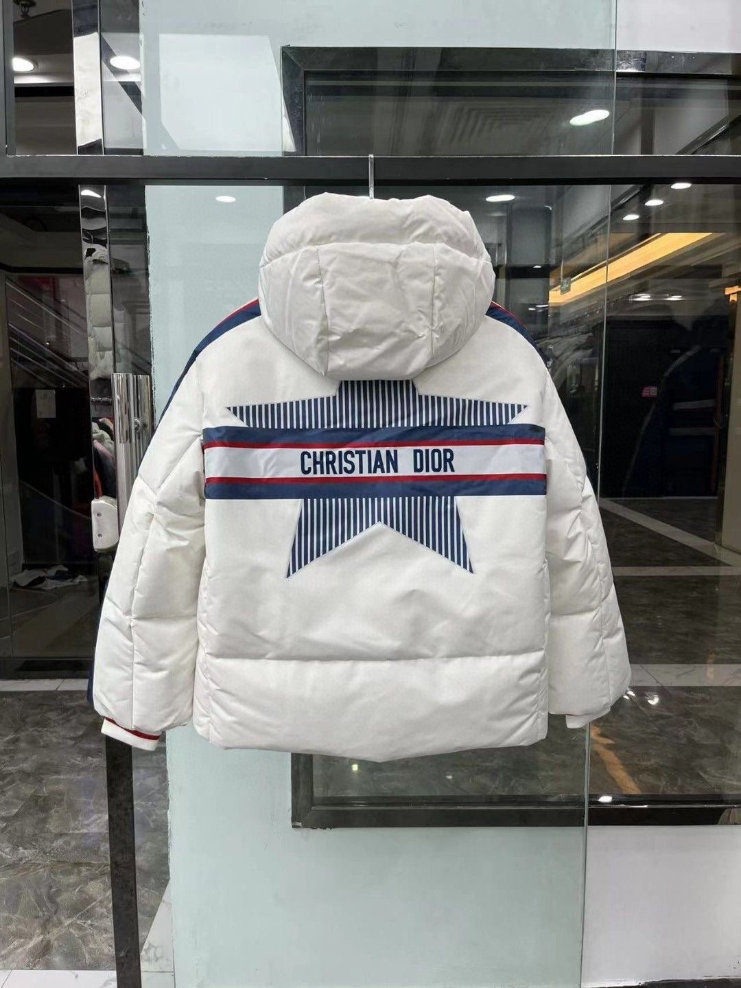 Dior DiorAlps Down Jacket "White"