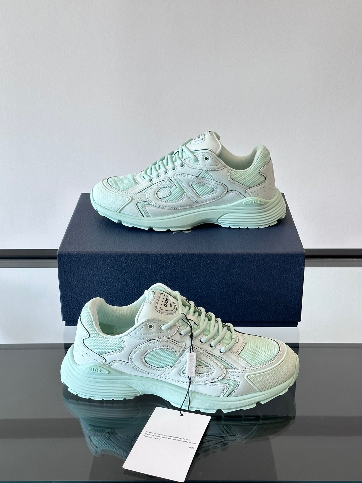 Dior x Stone Island B30 "Light Green"
