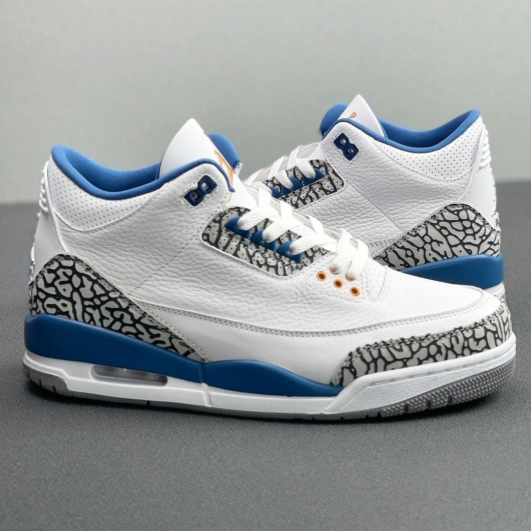 Air Jordan 3 Retro "Wizards"