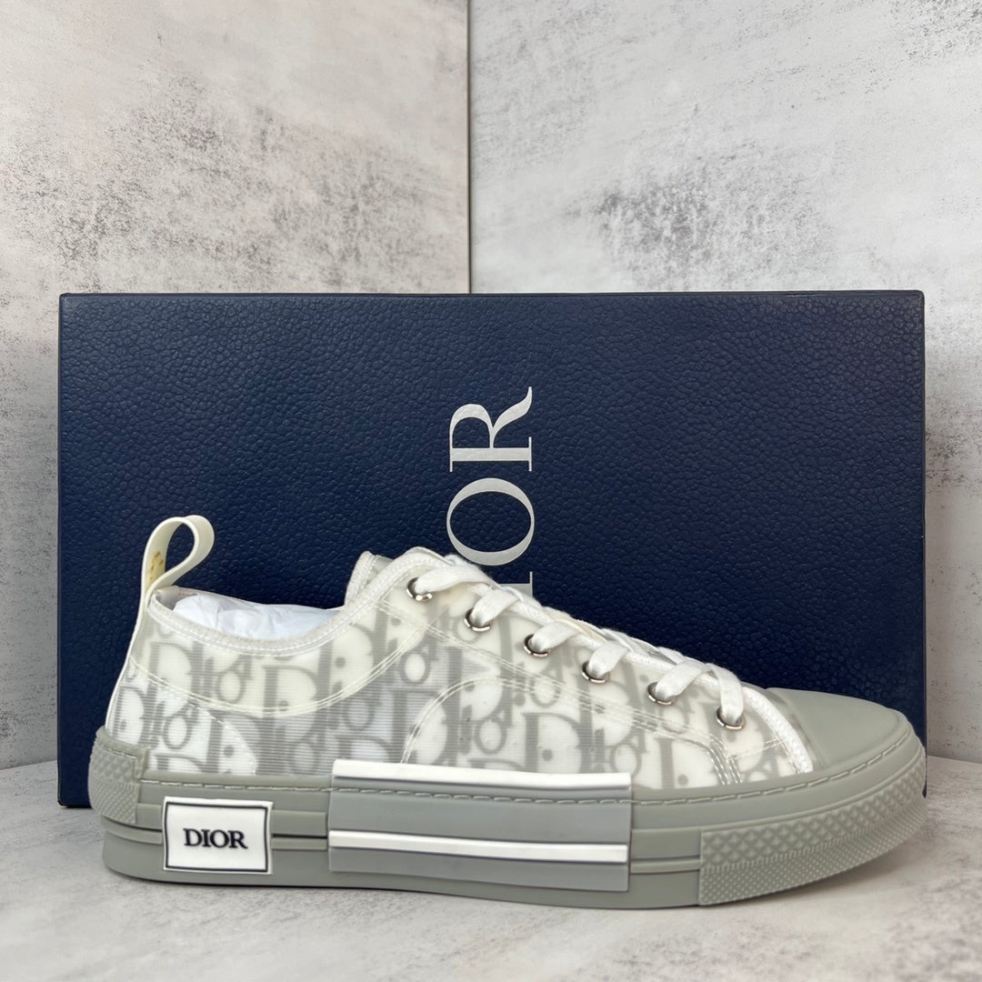 Dior B23 Low "Grey-White"