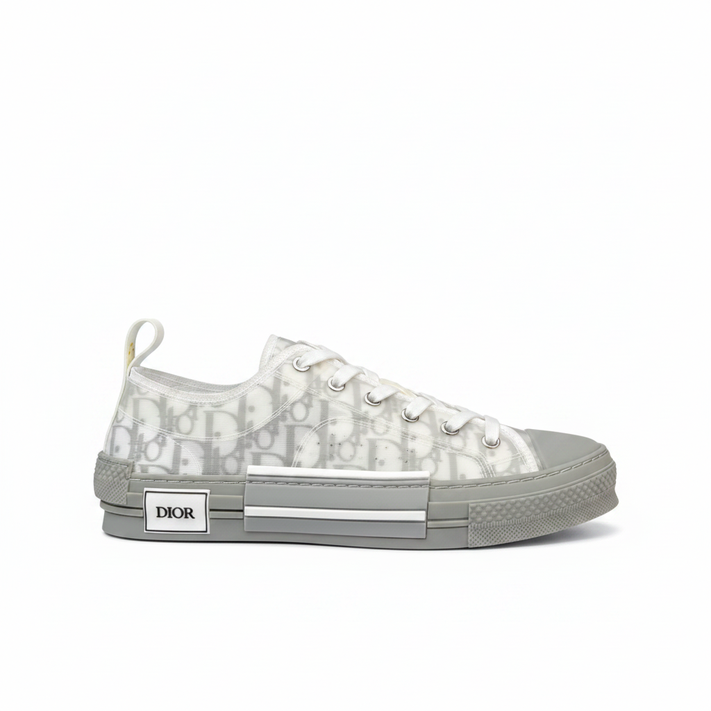 Dior B23 Low "Grey-White"
