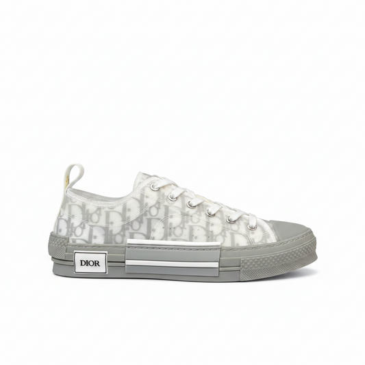 Dior B23 Low "Grey-White"