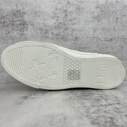 Dior x Shawn B23 Low "Multicolour"