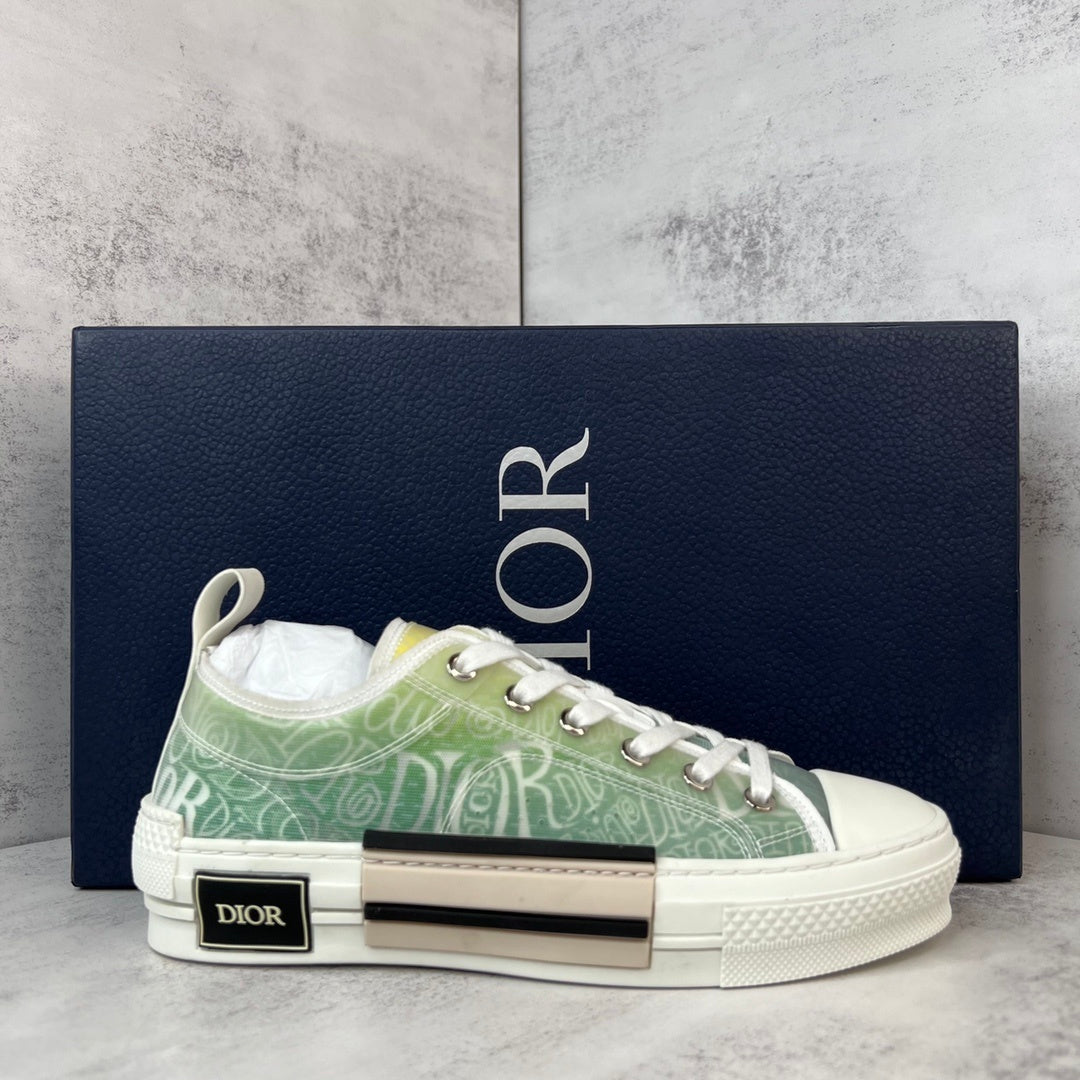 Dior x Shawn B23 Low "Multicolour"