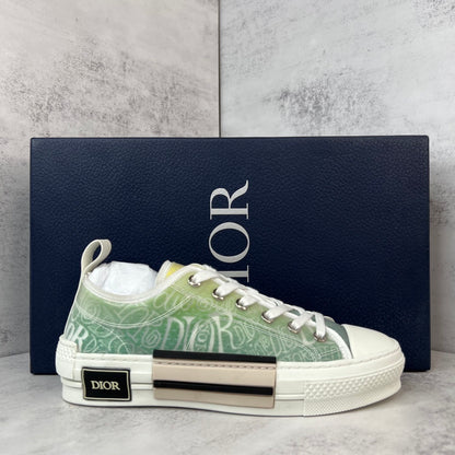 Dior x Shawn B23 Low "Multicolour"