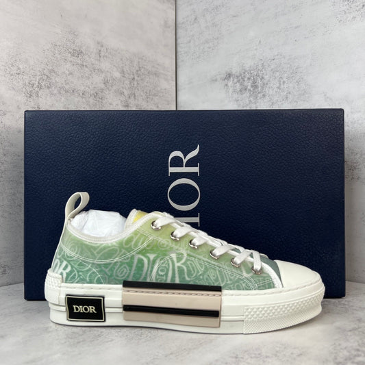 Dior x Shawn B23 Low "Multicolour"