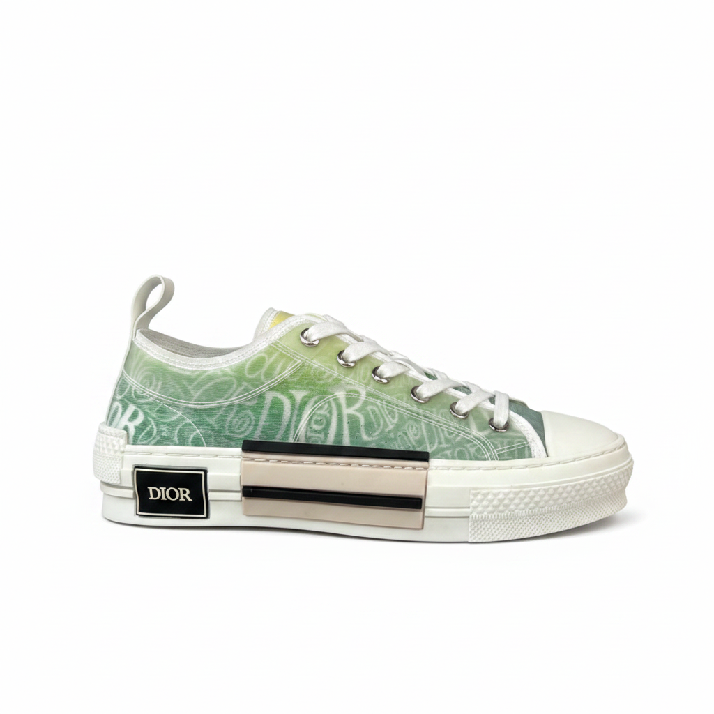 Dior x Shawn B23 Low "Multicolour"