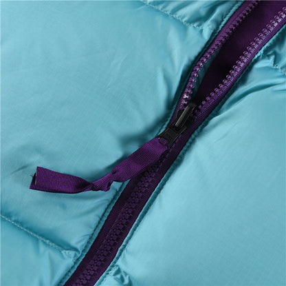 The North Face 700 Down Jacket "Blue-Purple"