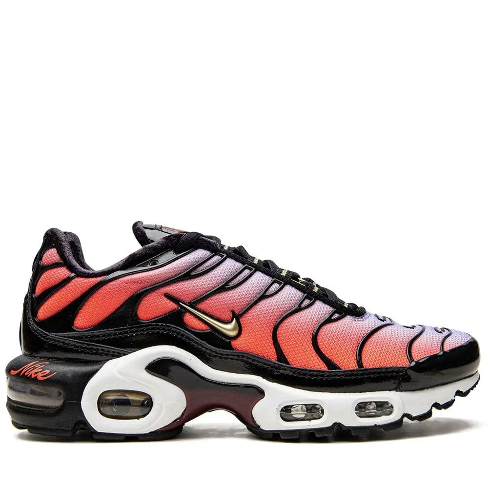 Nike Air VaporMax Plus "Salmon-Grey"
