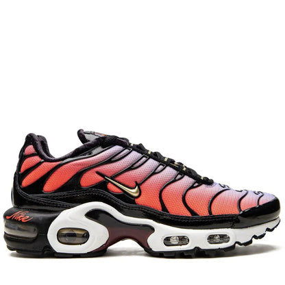 Nike Air VaporMax Plus "Salmon-Grey"