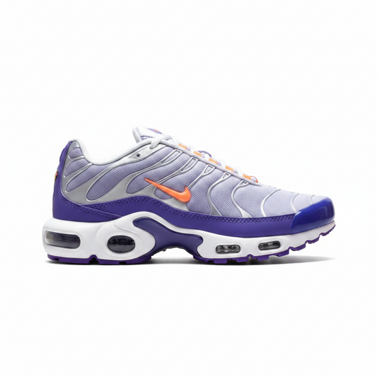 Nike Air VaporMax Plus "Colour Flip"