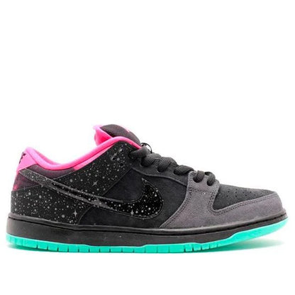 Premier x Nike Dunk Low SB "Northern Lights"