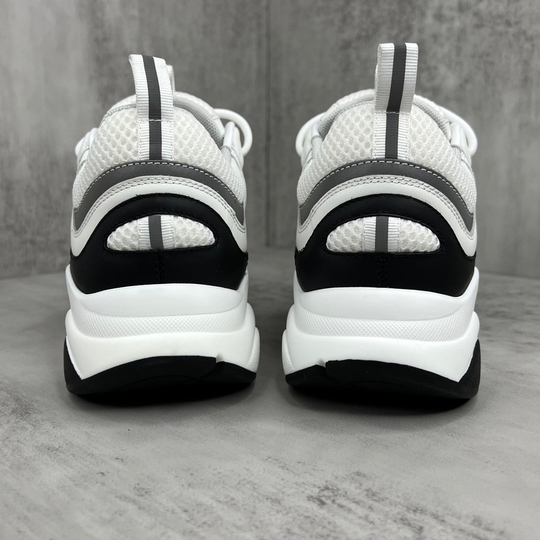 Dior B22 "White-Black"