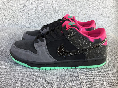 Premier x Nike Dunk Low SB "Northern Lights"