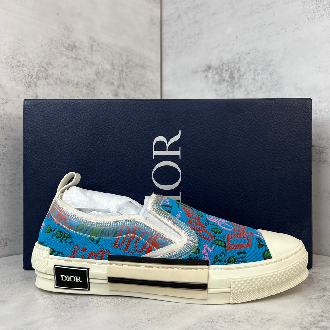 Dior x Shawn B23 Slip-On "Multicolour"