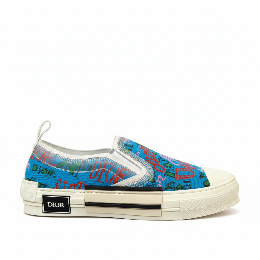Dior x Shawn B23 Slip-On "Multicolour"