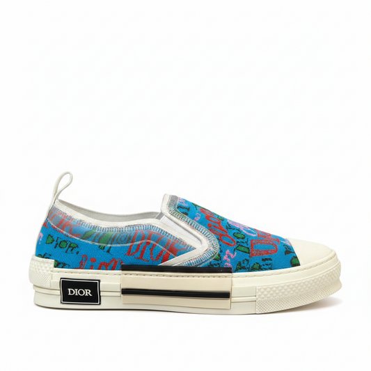 Dior x Shawn B23 Slip-On "Multicolour"