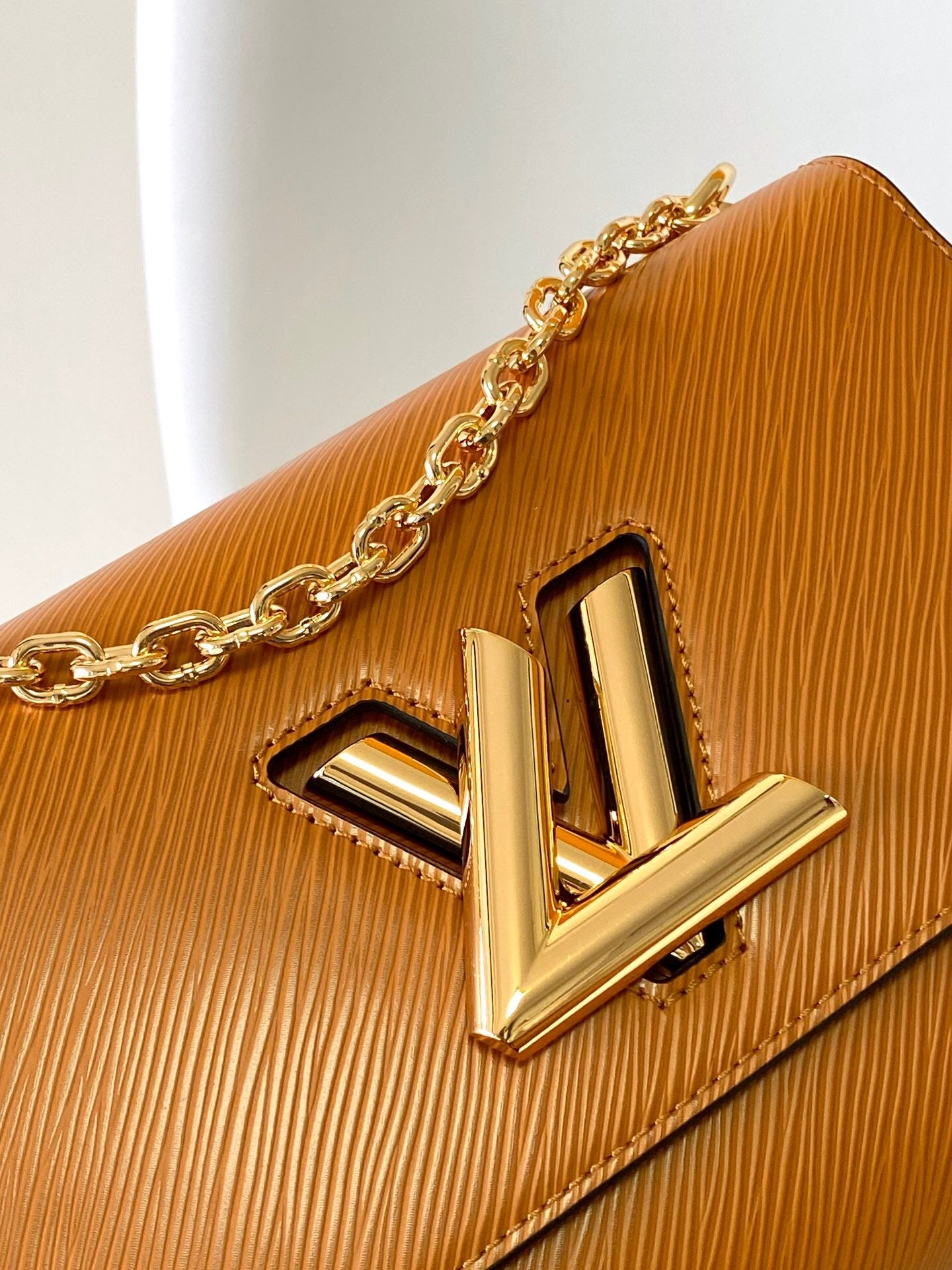 Louis Vuitton Twist PM