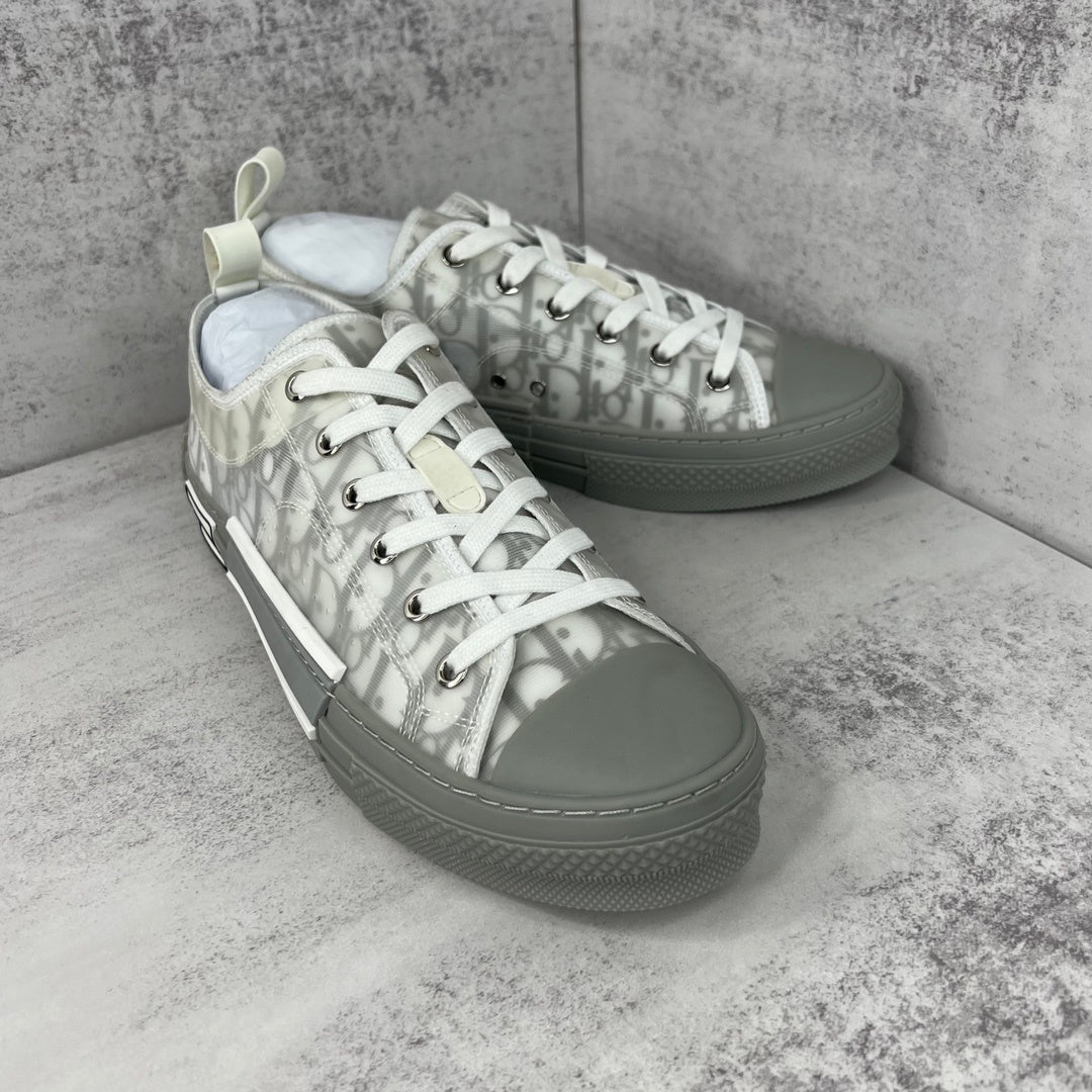 Dior B23 Low "Grey-White"