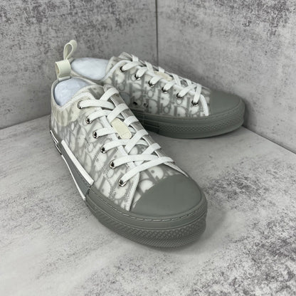 Dior B23 Low "Grey-White"
