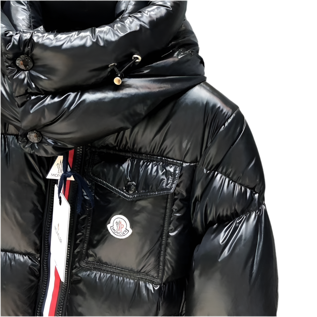 Moncler Montbeliard Hooded Down Jacket "Black"