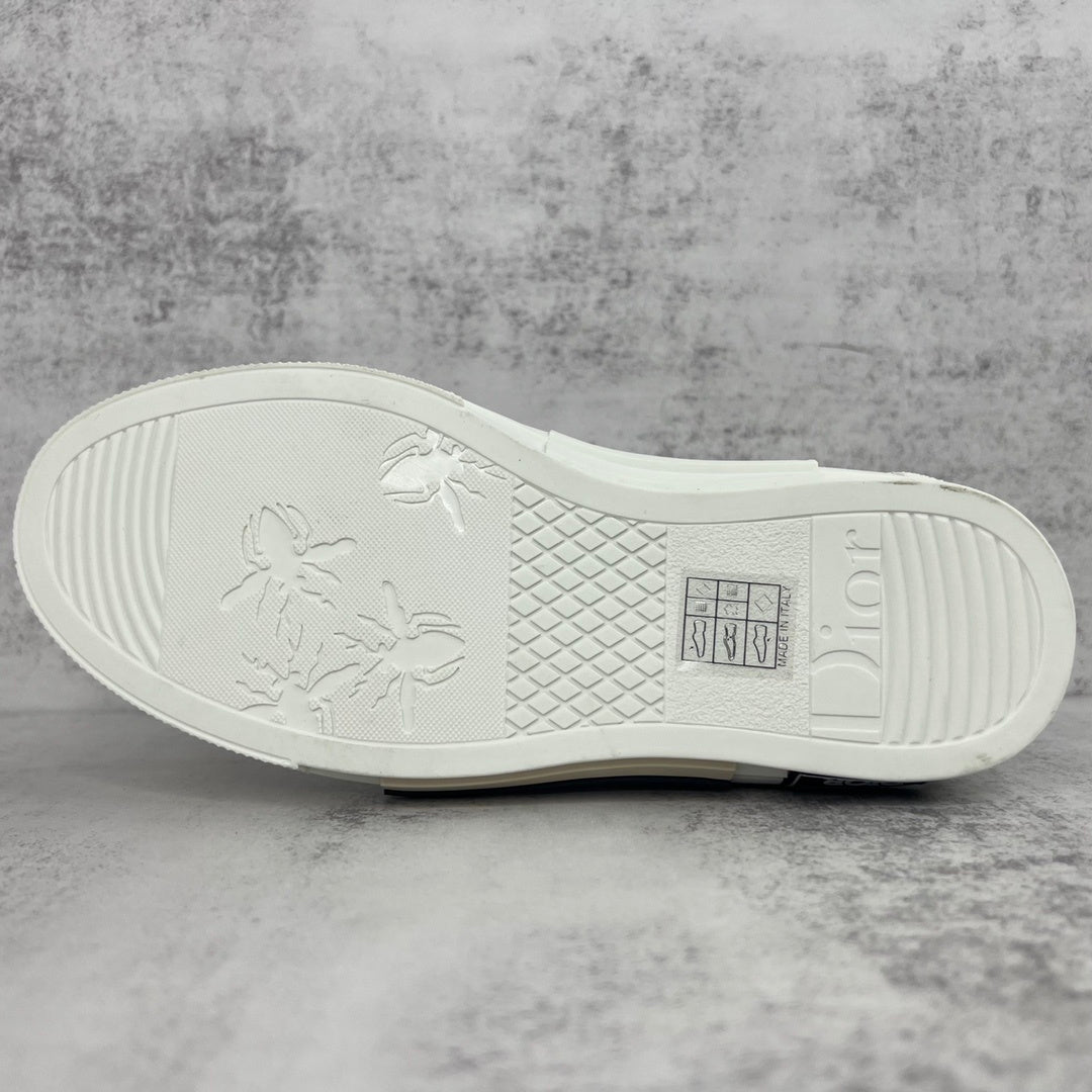 Dior x Alex Foxton B23 High-Top "Multicolour"