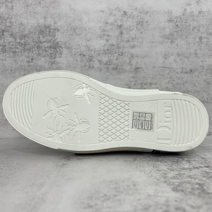 Dior x Alex Foxton B23 High-Top "Multicolour"