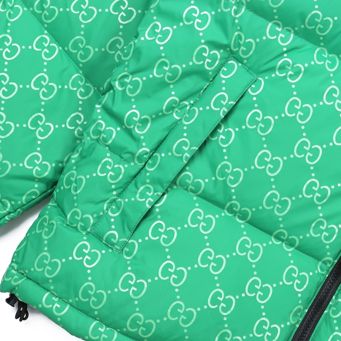 Gucci x The North Face 700 Down Jacket