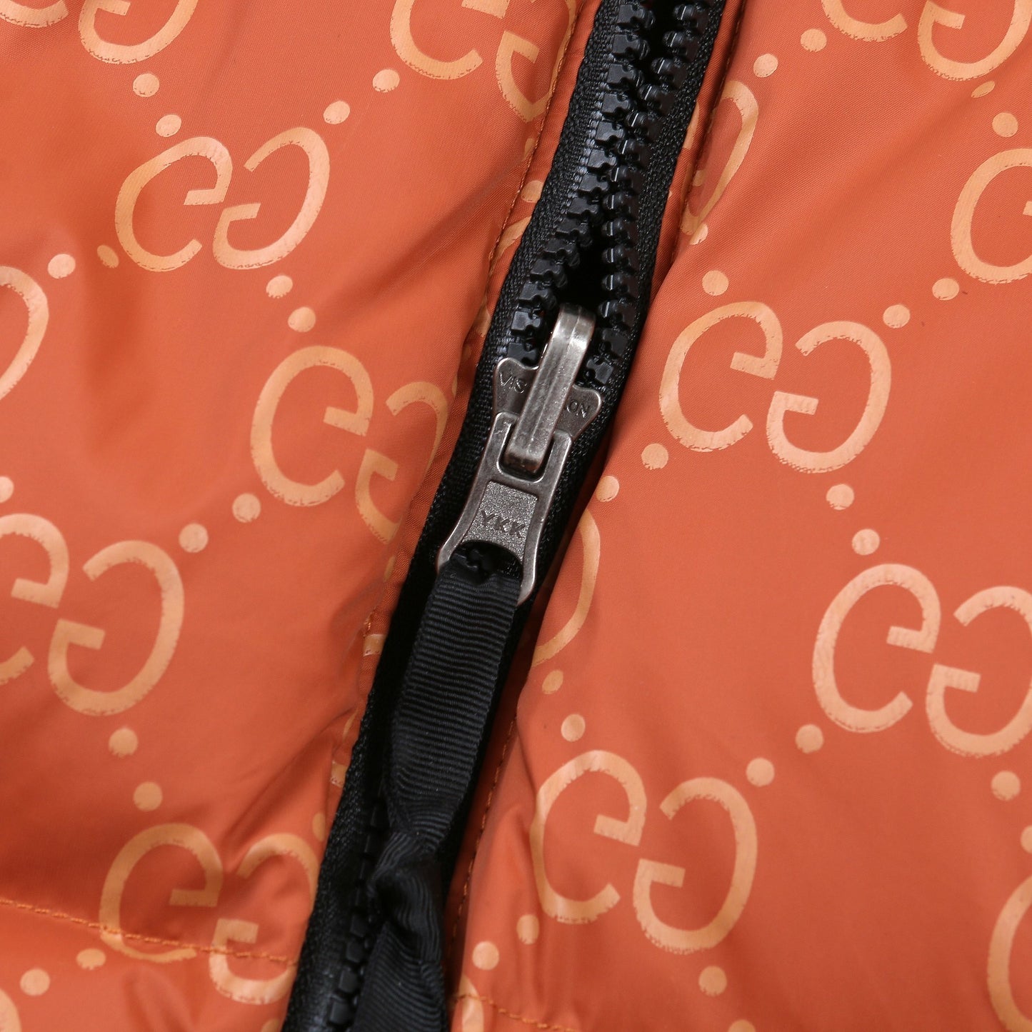 Gucci x The North Face 700 Down Jacket