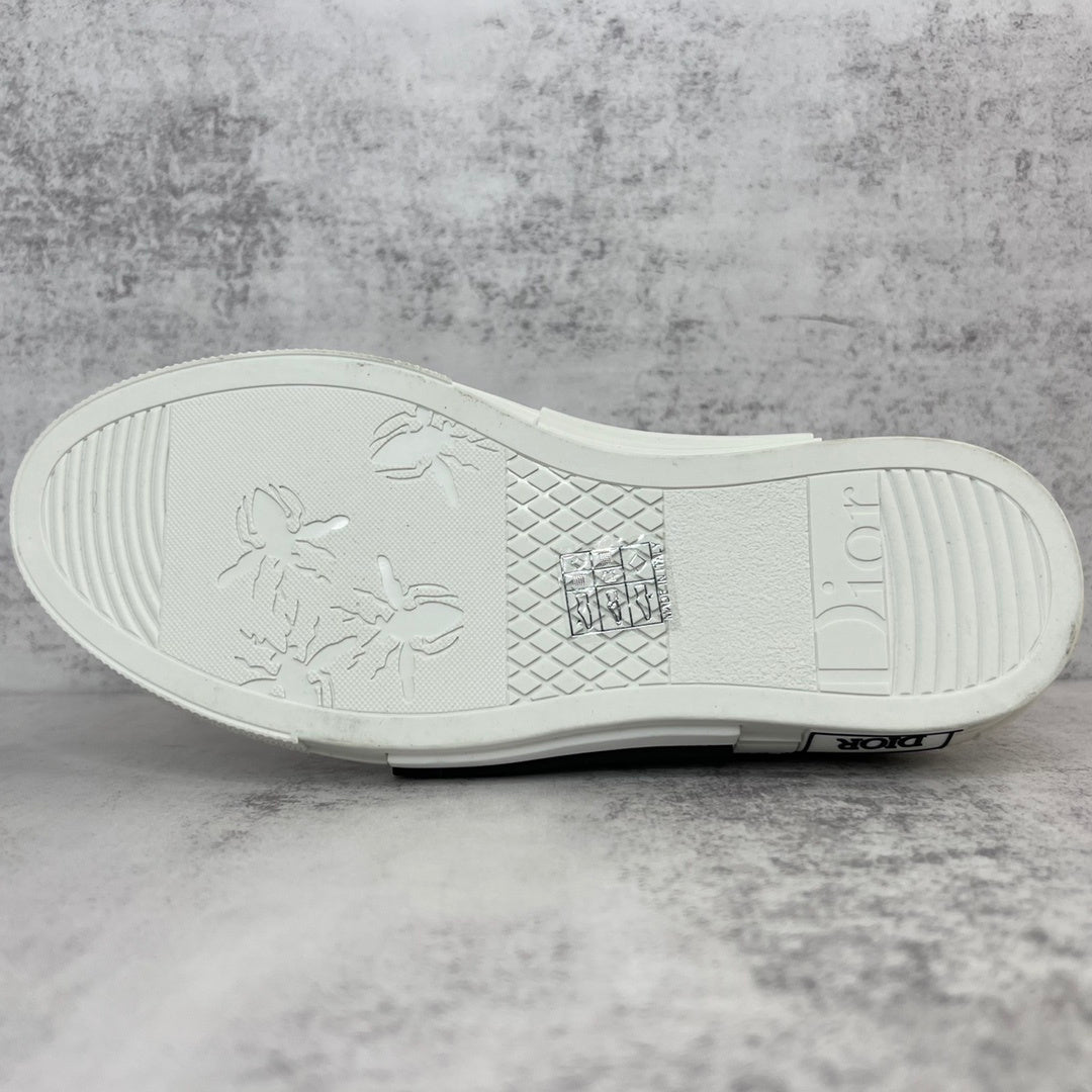 Dior B23 High-Top "Grey"