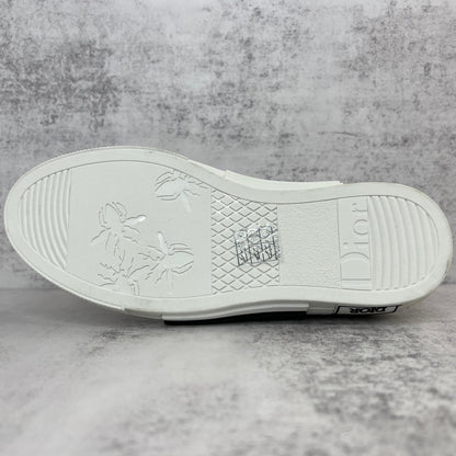 Dior B23 High-Top "Grey"