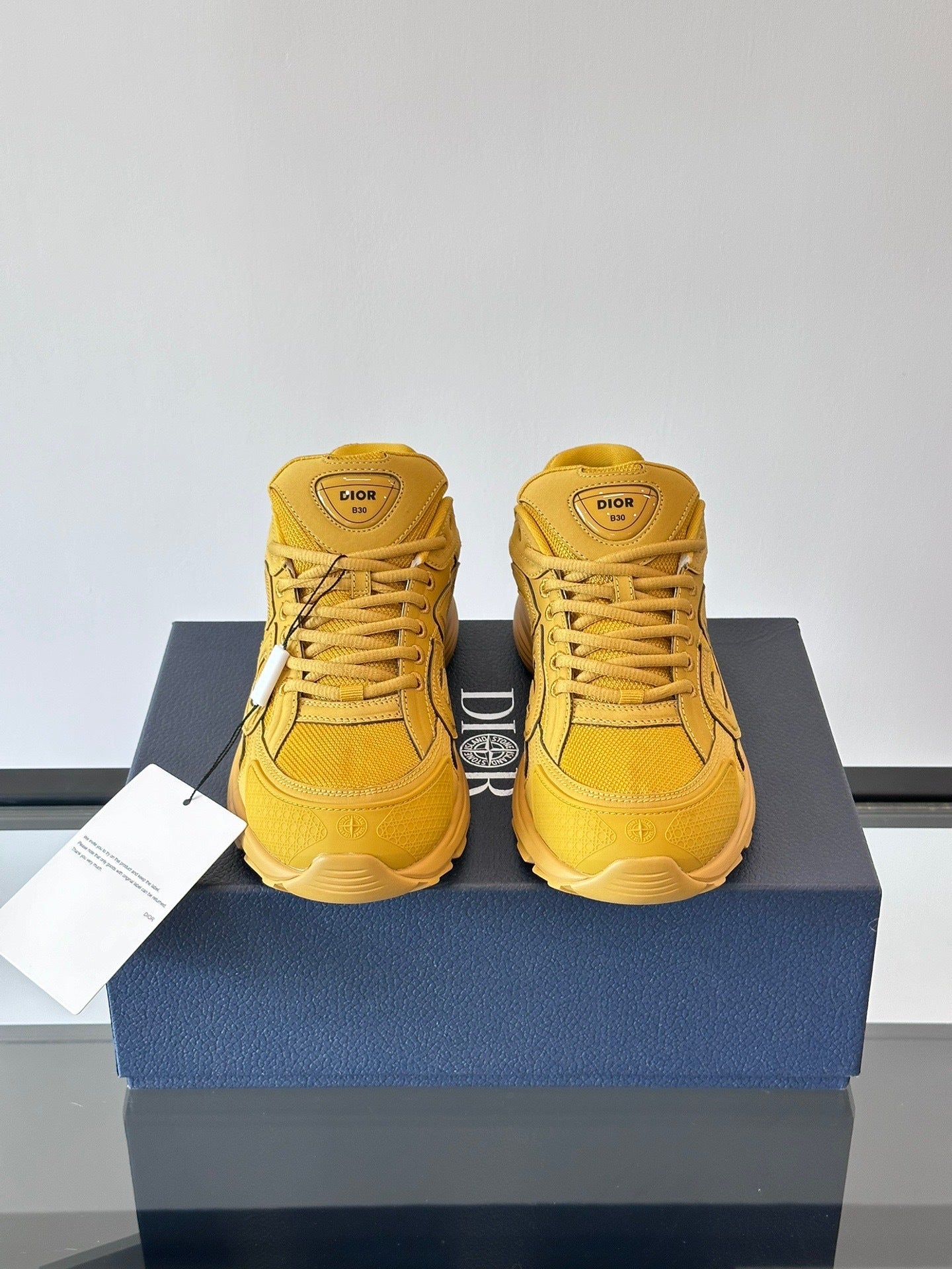 Dior x Stone Island B30 "Yellow"