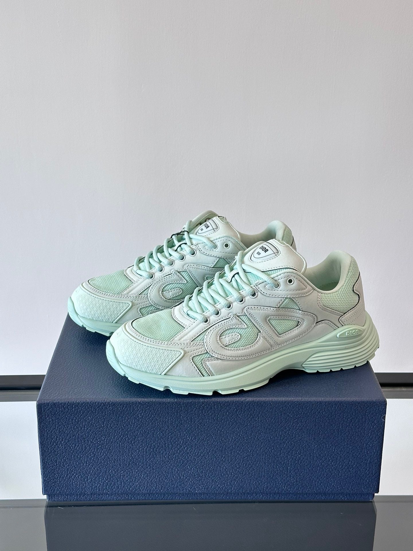 Dior x Stone Island B30 "Light Green"