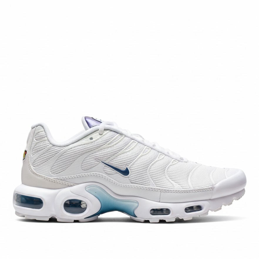 Nike Air VaporMax Plus “White-Blue”