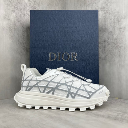 Dior B31 "White-Grey"