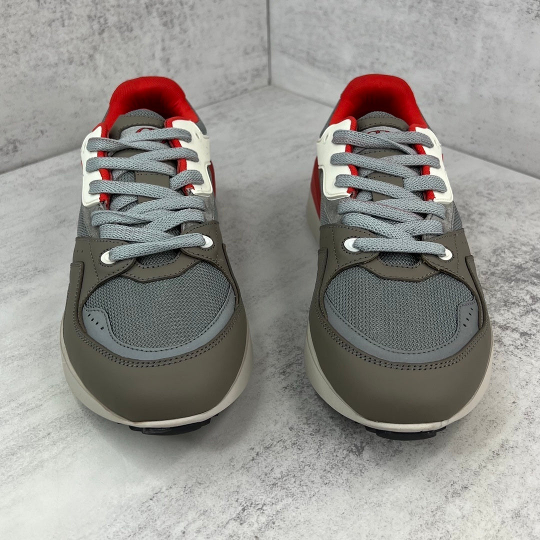 Dior B29 "Grey-Brown-Red"