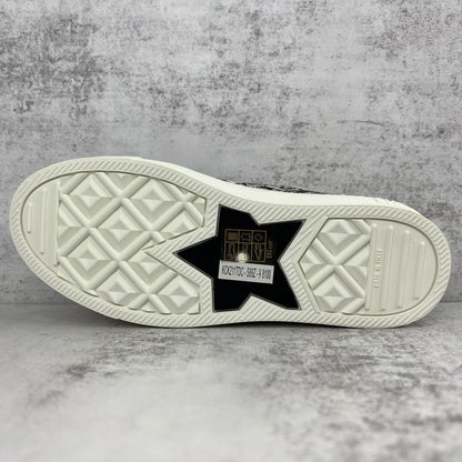 Dior Walk'N'Dior "Beige Tiger"