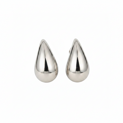 Bottega Veneta Drop Earrings