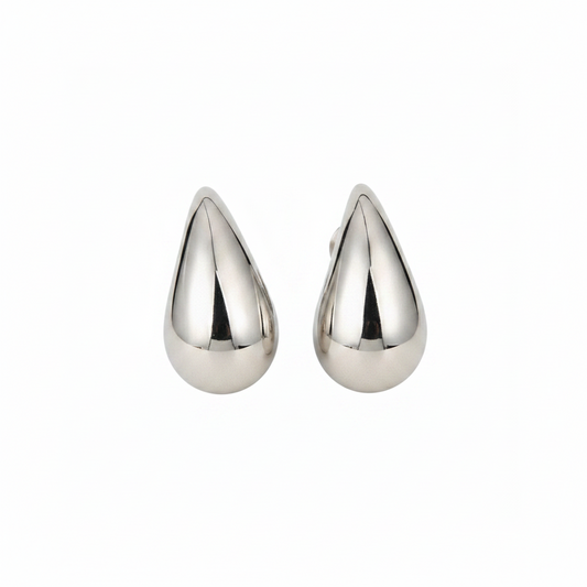 Bottega Veneta Drop Earrings