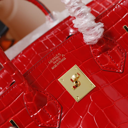 Hermès Crocodile Birking 35