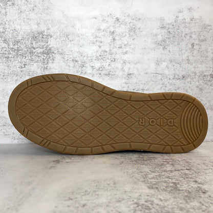 Dior x Cactus Jack B713 "Beige-Brown"