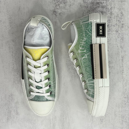 Dior x Shawn B23 Low "Multicolour"