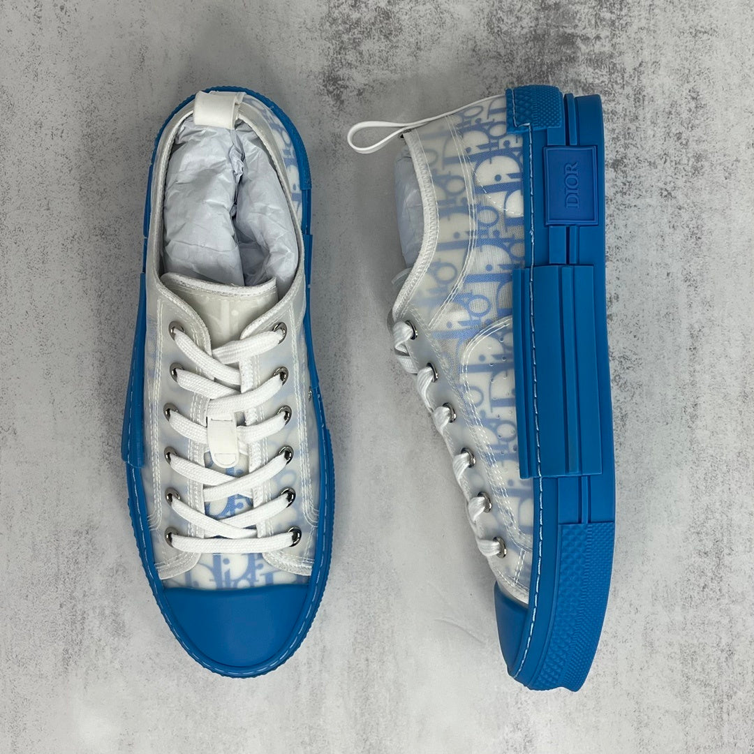 Dior B23 Low "Blue-White"