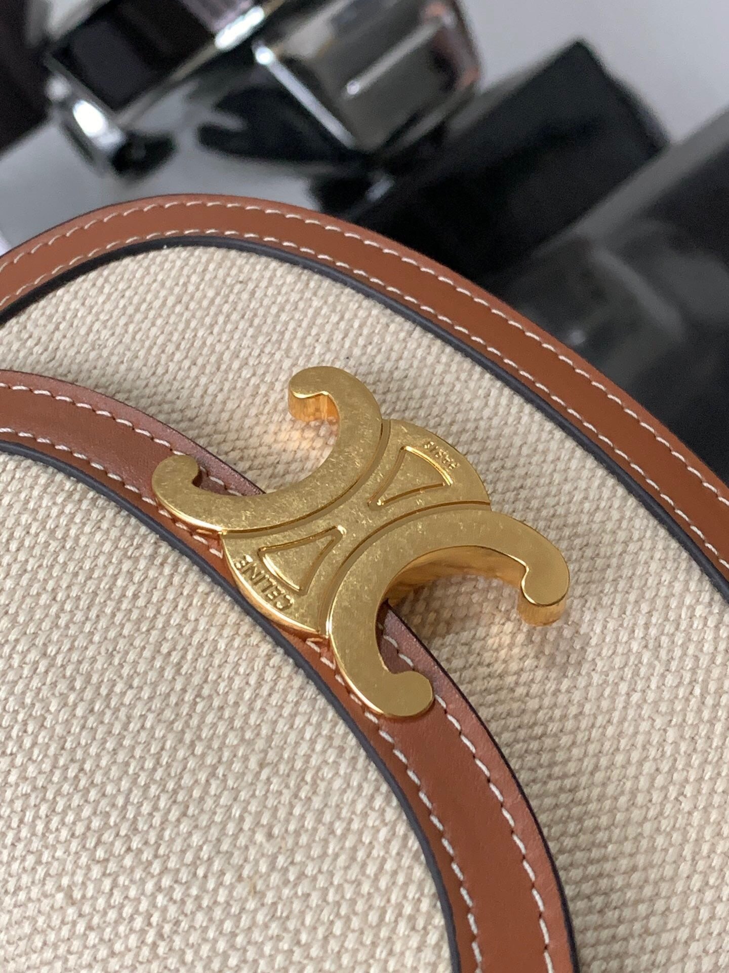 Celine Mini Besace Clea in Canvas and Calfskin