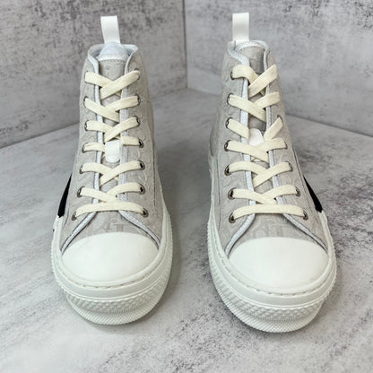 Dior B23 High-Top "Grey"