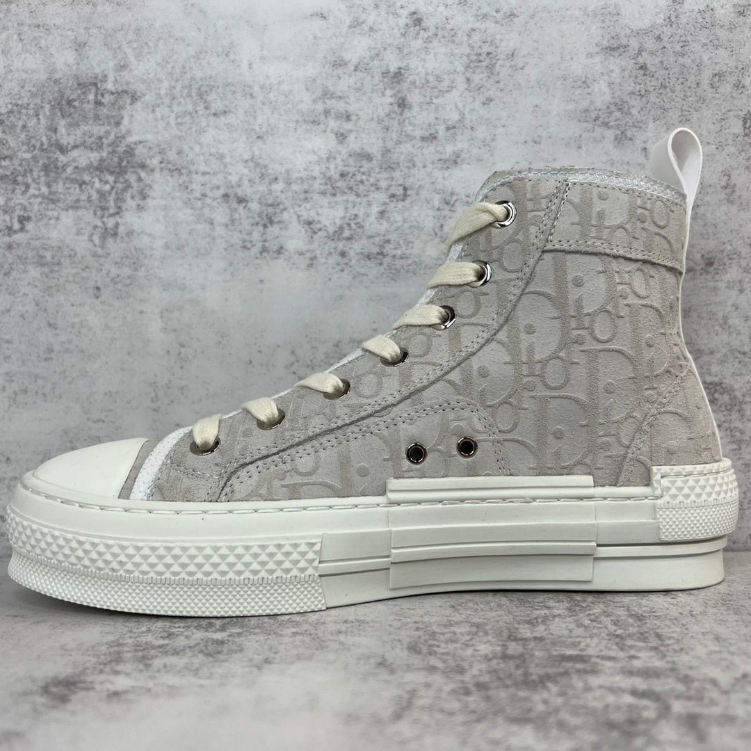 Dior B23 High-Top "Grey"