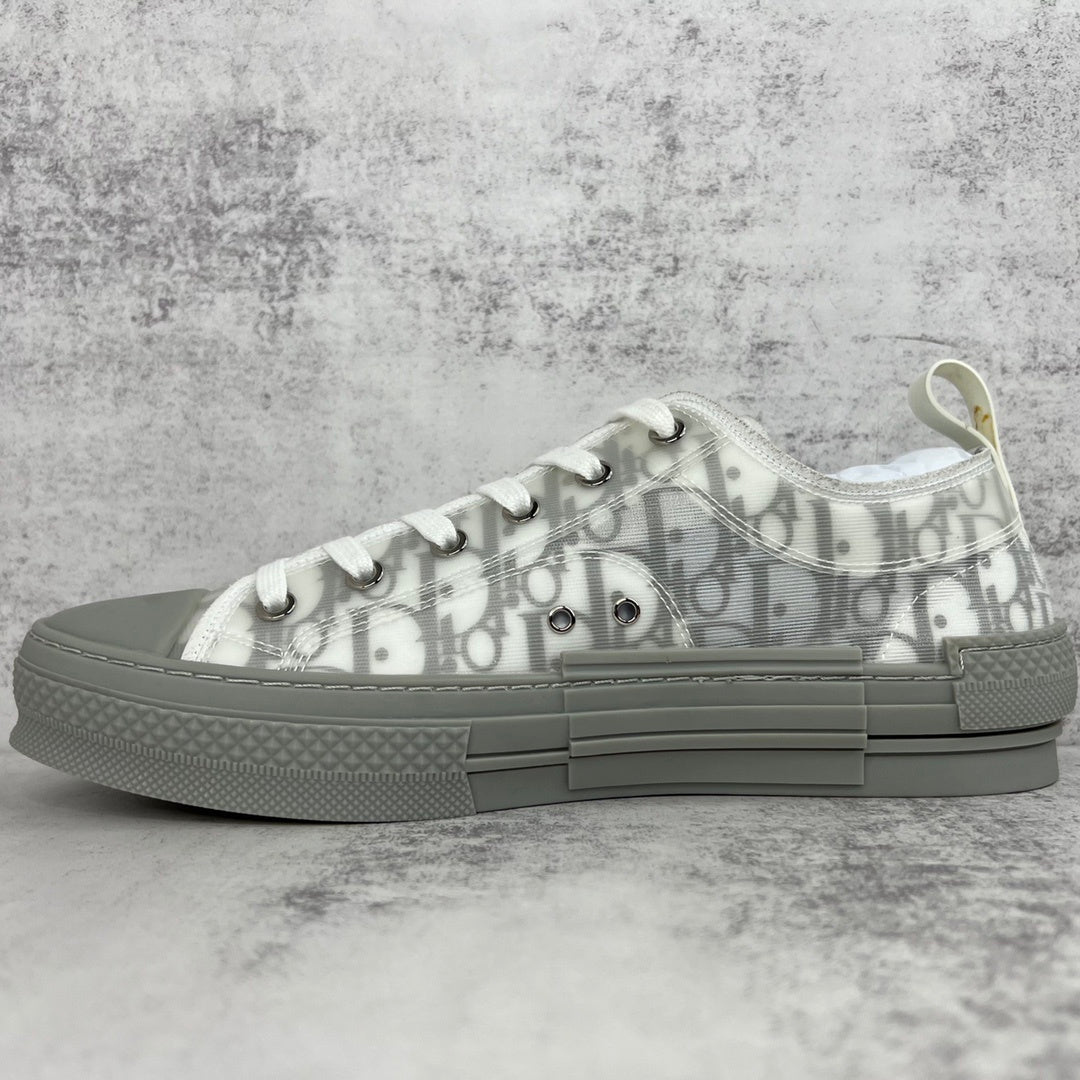 Dior B23 Low "Grey-White"