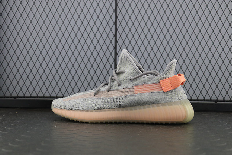 Yeezy 350 V2 "True Form"